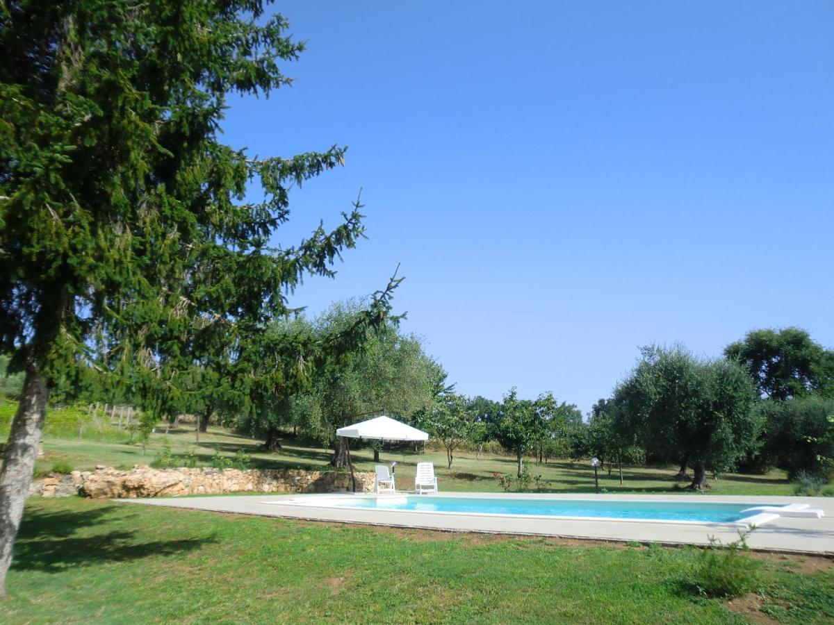 San Michele in Teverina I Massi B&B 외부 사진