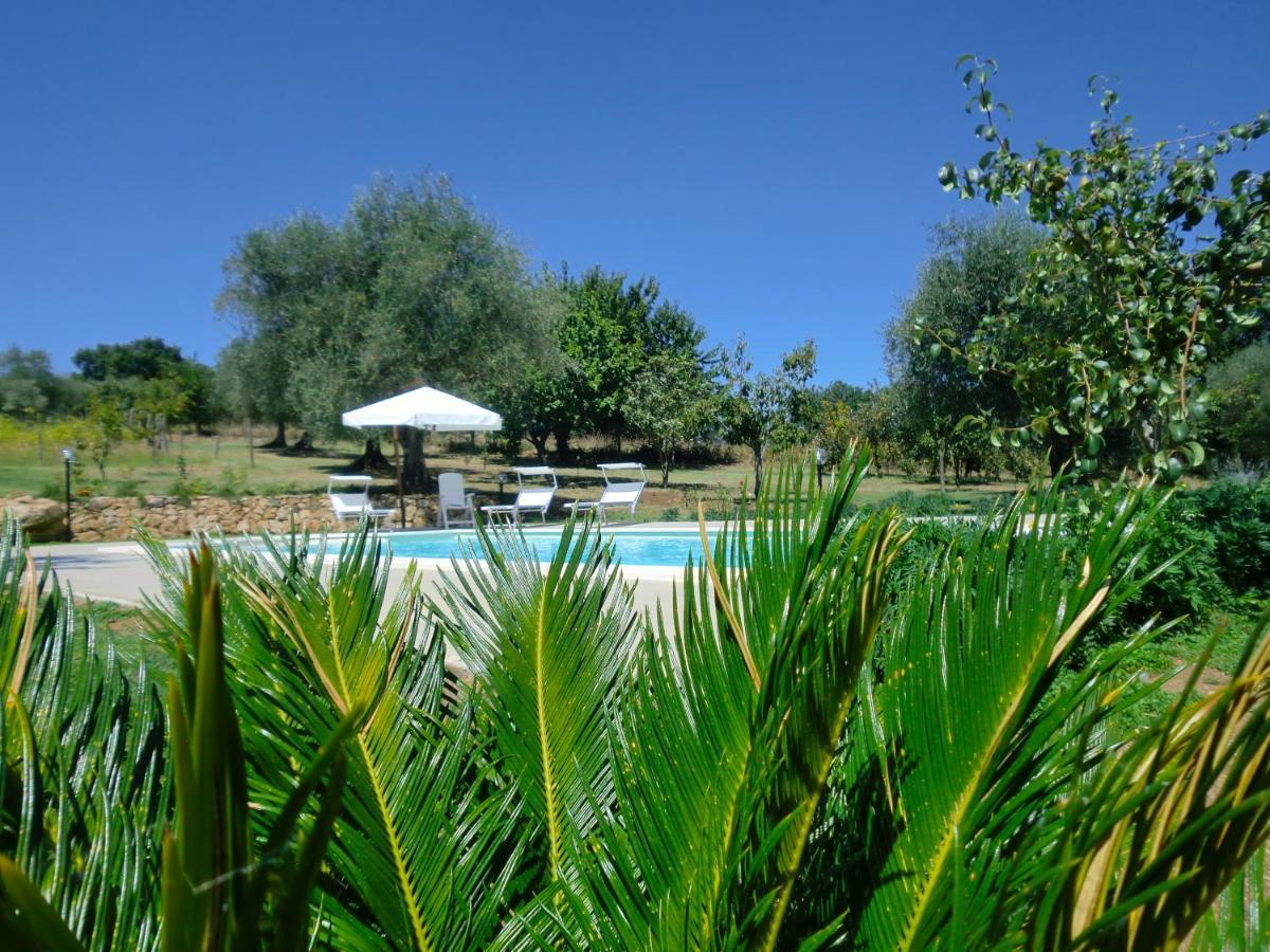 San Michele in Teverina I Massi B&B 외부 사진